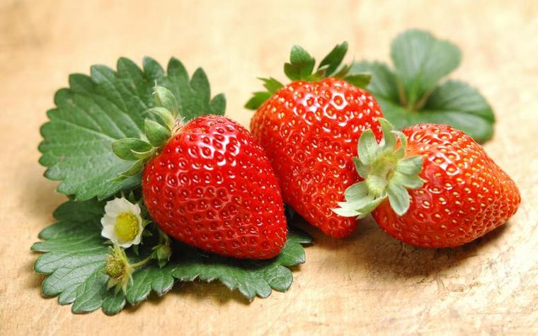 吃草莓的季节是几月份