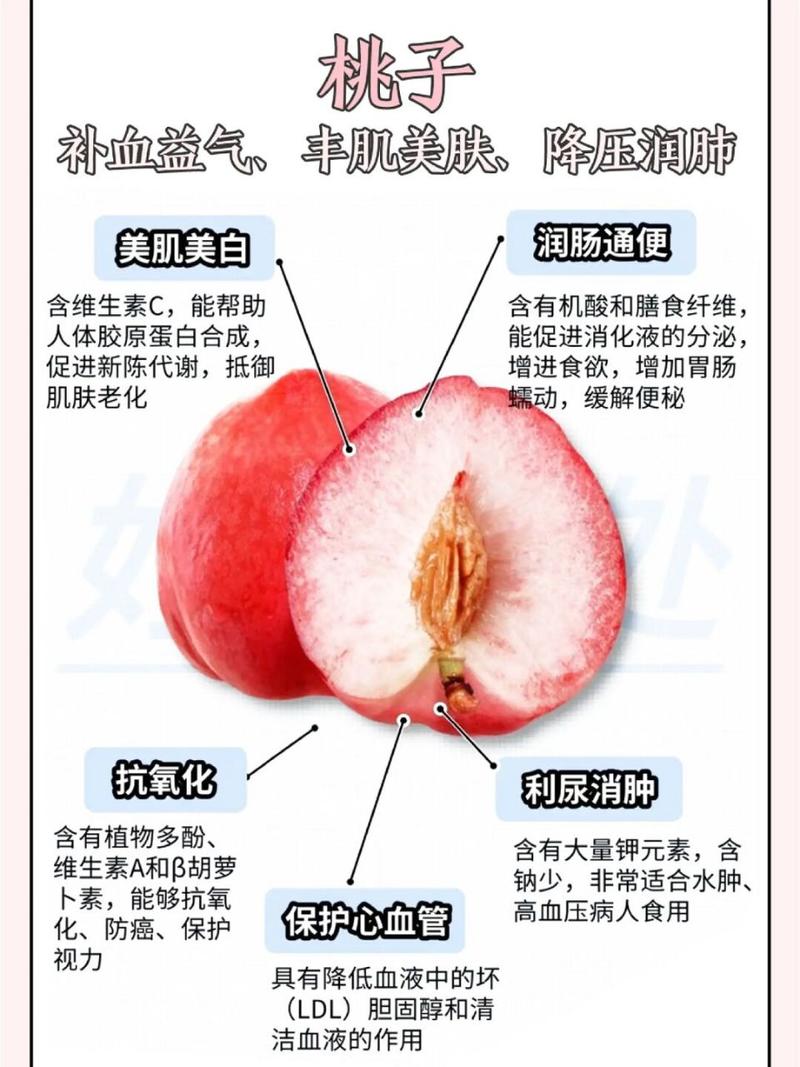桃子是凉性还是热性的相关图片